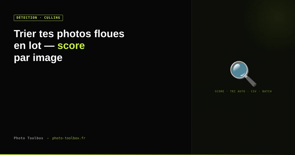Aperçu du détecteur de flou batch Photo Toolbox : grille de résultats avec score de netteté et badges Nette / Floue par image